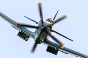 Spitfire